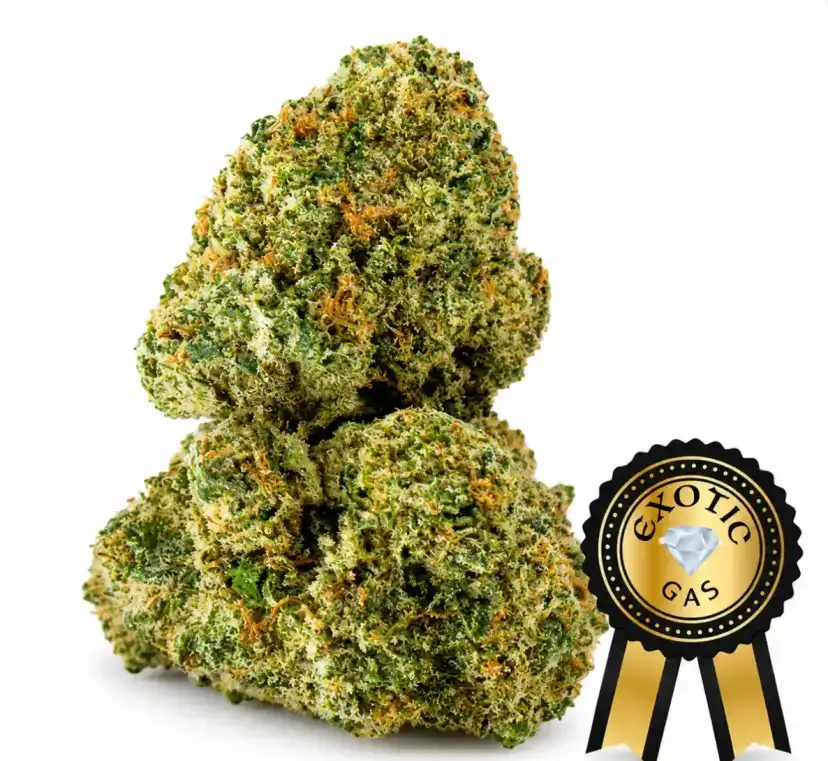 Lemon Cherry Gelato (Exotic) Flower - 1/4 LB (BULK ORDER)