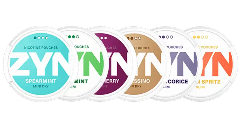 Zyn 9mg Nicotine Pouches - Variety of Flavors
