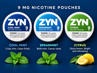 9mg ZYN Variety of Flavors Pouches EURO