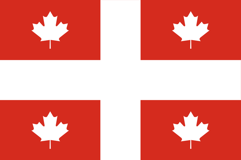 Quebec 25's Special Light - Carton